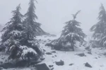 Osmaniye’nin yüksek kesimlerine kar yağdı 