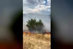 Ot yangını büyümeden söndürüldü