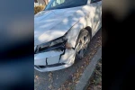 Otomobil ayıya çarptı