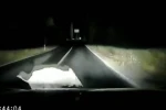 Otomobil domuza çarptı; çarpma anı araç kamerasında 