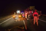 Otomobil ineklere çarptı: 2 yaralı