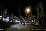 Otomobilin altında kalan kedi telef oldu