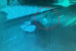 Otomobilin çarptığı yaya hayatını kaybetti