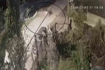 Otomobilin su kanalına uçtu: 3 yaralı