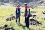 Palandöken’de 2 bin 500 rakımda yeşil kalkan 