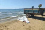 Pamucak sahilinde erkek cesedi bulundu