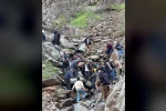 Pancar toplamaya gitti, kayalıklardan düşerek yaralandı