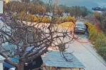 Park halindeki otomobili benzin döküp yakan, araç sahibinin yeğeni çıktı