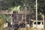 Parkta tekme tokatlar havada uçuştu