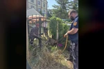 Parmaklıklara sıkışan köpek kurtarıldı