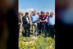 Patnos’ta fasulye hasadı başladı
