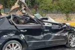 Patnos’ta koyun yüklü tır otomobile çarptı