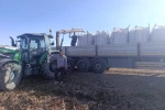 Patnos’ta patates hasadı başladı