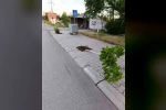 Patnos’ta yeni dikilen 15 ağaca zarar verildi