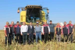 Pazar’da ayçiçeğinde 600 ton ürün bekleniyor
