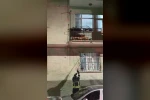Pencere korkuluğundaki yılan ekiplerce yakalandı