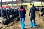 Pınarhisar’da ari hayvan işletmelerindeki çalışmalar incelendi
