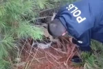 Polis kaçak avcılık tuzağı ele geçirdi