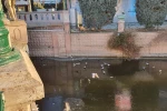 Porsuk’un donduğunun resmidir 