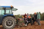 Poşusunu takan Kaymakam Kuran üreticilerle birlikte kekik dikti