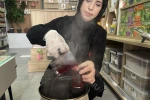 Ramazan sofralarının serin nefesi: Ramazan şerbet