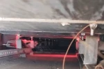 Reklam panosunda mahsur kalan kediyi itfaiye kurtardı
