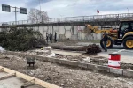 Rize’de fırtına