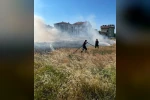 Rüzgarın etkisiyle büyüyen ot yangını evlere ulaşmadan söndürüldü