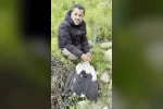 Saçmaların hedefi olan leyleğe kuş gözlemcisinden ilk yardım