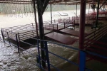 Sağanak sebebiyle Köprüçay taştı, iş yerleri ve araziler sular altında kaldı