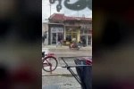 Sahibinin elinden kaçan inek bakın nereye girmeye çalıştı
