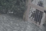 Sahipsiz köpeklerin saldırısına uğrayan kadını kurtaran Nurten Güven: "Biz olmasaydık kadının mücadelesi zor olacaktı"