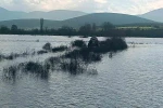 Sakarya Nehri üzerindeki adacıkta balık tutmak isteyen 2 kişi mahsur kaldı