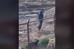 Sakarya Valiliğinden iki ilçedeki barınak görüntülerine ilişkin açıklama