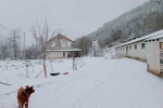 Sakarya’da yüksek kesimlerde kar, şehir merkezinde yağmur etkili oldu