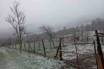 Sakarya’nın yüksek kesimleri beyaza büründü