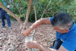 Sakız’dan farklı ürünler üretilmeye başlandı