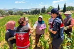 Salihli Jandarma, tütün tarlasında KADES’i anlattı 