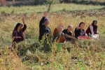Samsun’da bitkisel ve hayvansal üretim destekleniyor