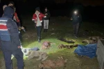 Samsun’da çöp konteynerinde 9 telef olmuş köpek bulundu