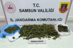 Samsun’da jandarmadan uyuşturucu operasyonu: 1 gözaltı