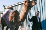 Sanatçı Mertcan Türkoğlu, Hi Jolly’nin Arizona’daki anıt mezarı başında anıldı