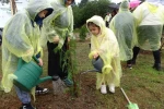 Sancaktepe’de yarının nefesi olacak binlerce fidan toprakla buluşturuldu