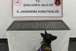 Şanlıurfa’da uyuşturucu operasyonu: 4 gözaltı