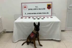 Şanlıurfa’da 210 bin TL ile uyuşturucu madde ele geçirildi