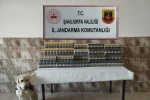 Şanlıurfa’da 420 paket gümrük kaçağı sigara ele geçirildi