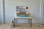 Şanlıurfa’da 7 bin 777 paket gümrük kaçağı sigara ele geçirildi