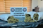 Şanlıurfa’da 8 kilo uyuşturucu ele geçirildi: 1 şahıs tutuklandı