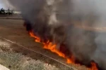 Şanlıurfa’da arpa ekili arazide çıkan yangında 30 dönüm alan zarar gördü