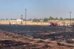 Şanlıurfa’da çıkan yangında 60 dönüm buğday ekili alan zarar gördü